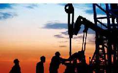 Работайте с Topland, чтобы ваши операции двигались стабильно!